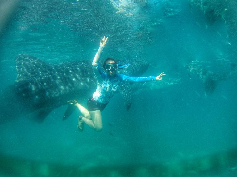 swimming with whale sharks in Oslob, Cebu