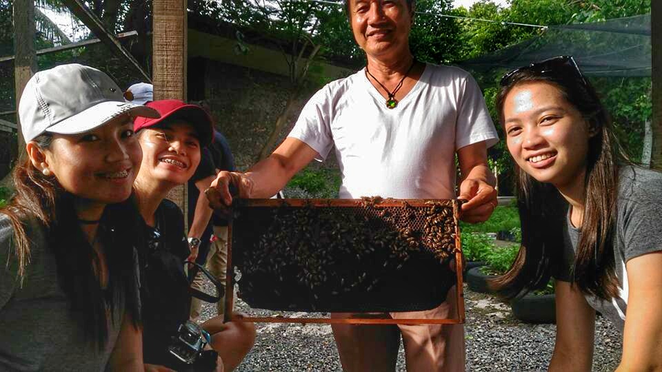 our picture with a bee hive