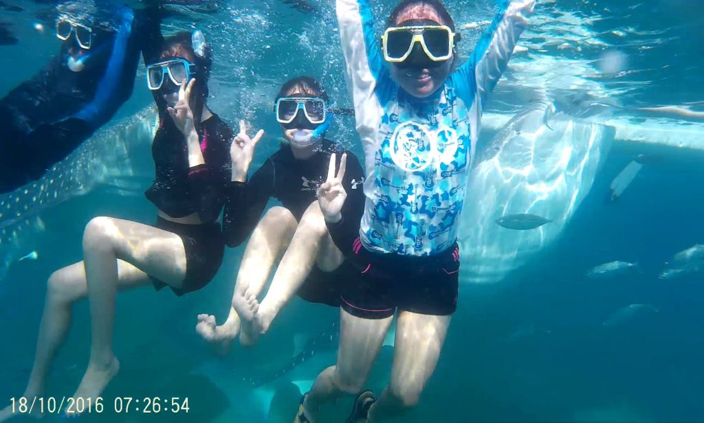 me and my friends swimming while a whale shark is seen eating beside me