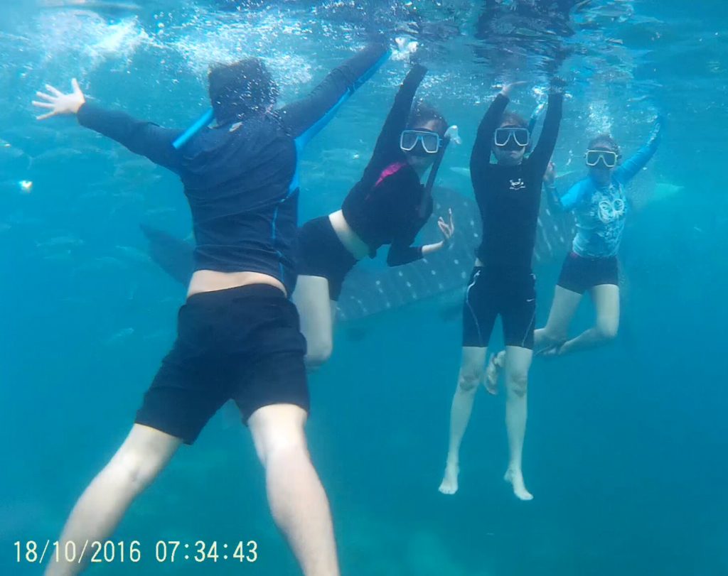 swimming with friends