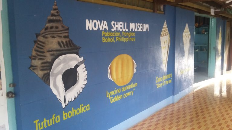 nova shell museum in bohol