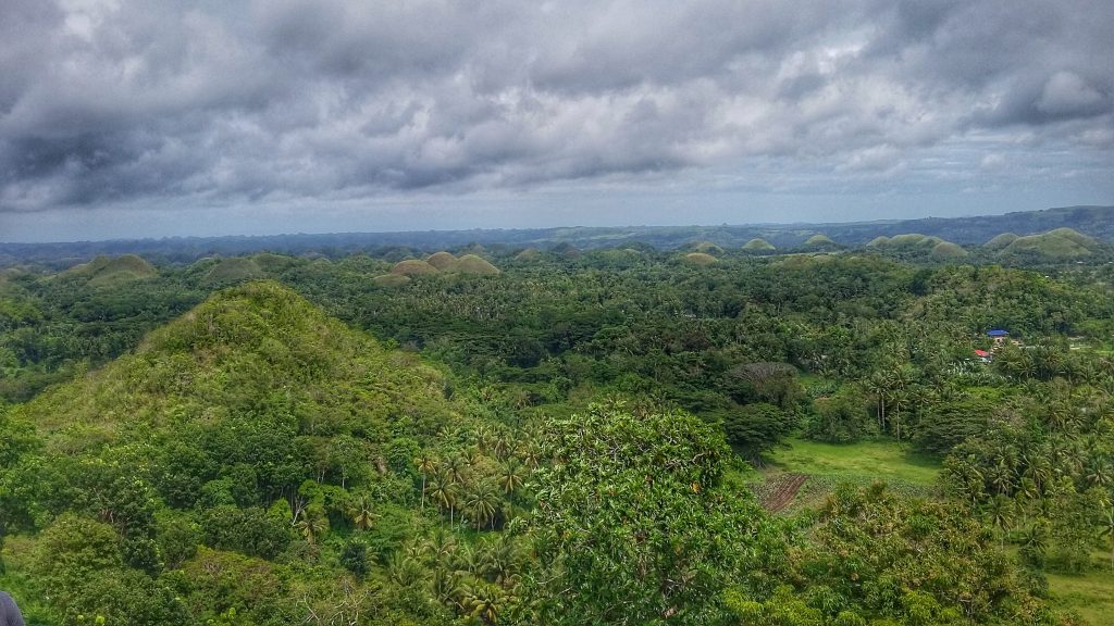 view of the chocolate hills from the viewing deck