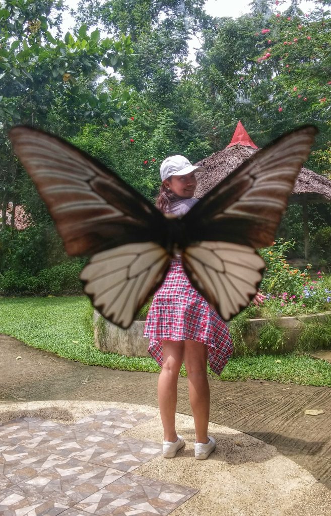a picture of me with a butterfly wings