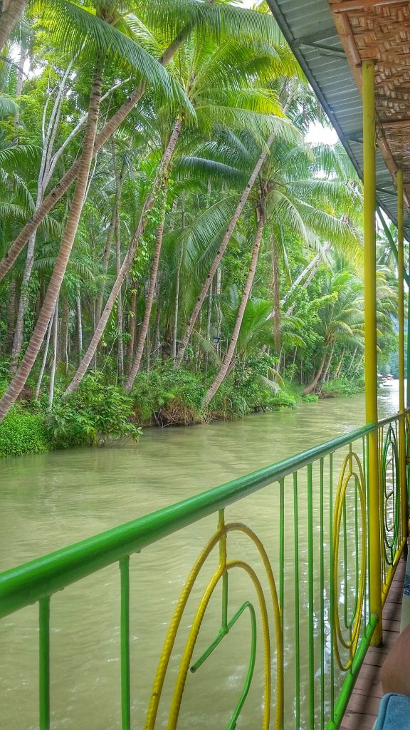 Loboc river view from the floating restaurant