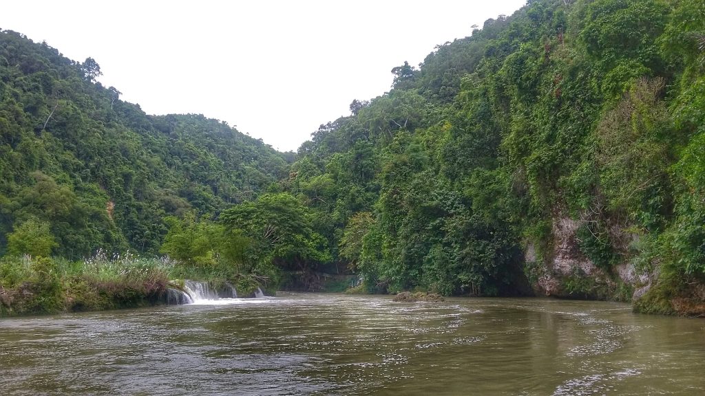 loboc river with the view of the mountains and forest