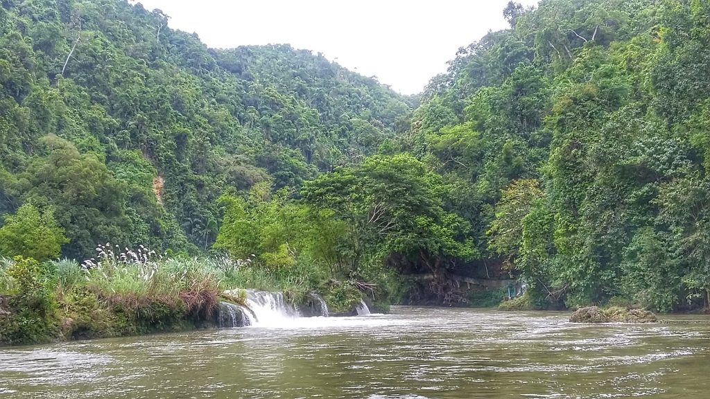 loboc river with the view of the mountains and forest