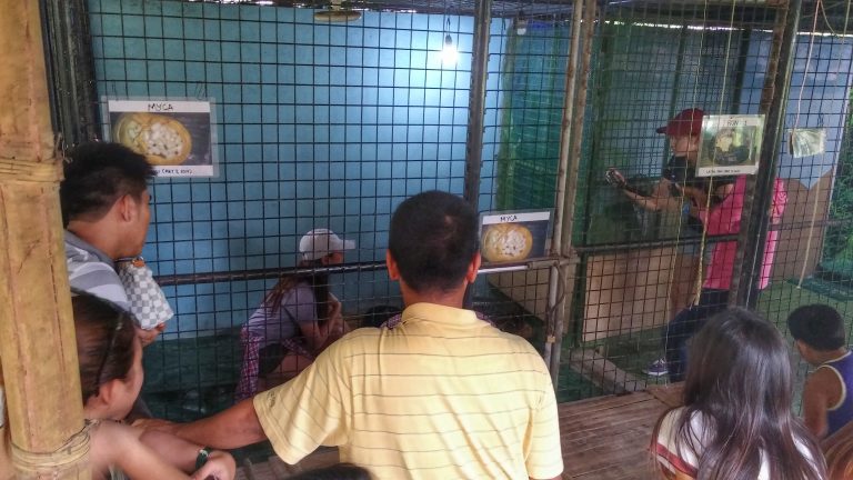 inside the cage of the biggest phyton in the sanctuary