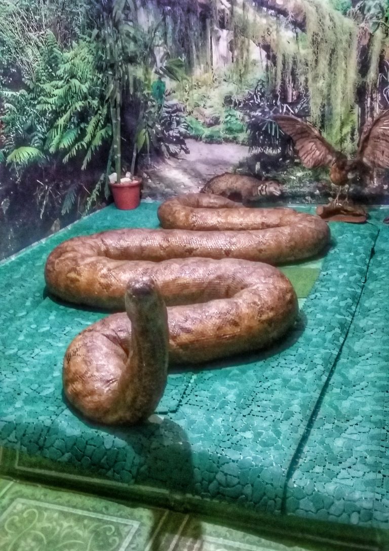 a preserved prony 2 of the phyton sanctuary