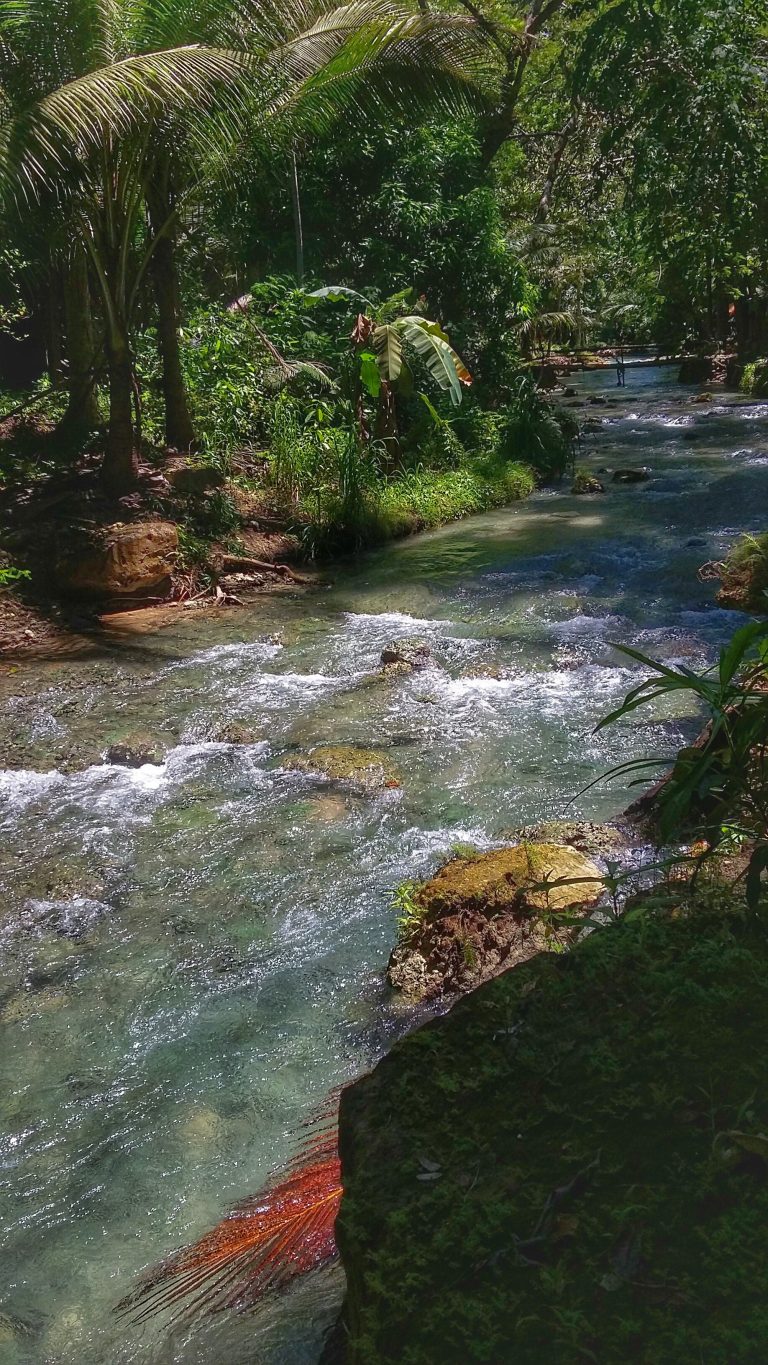 river flowing beside the trail going to kawasan falls