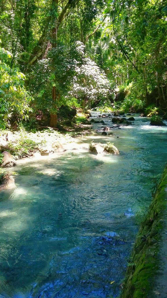 a bluish clean river flowing beside the trail going to kawasan falls