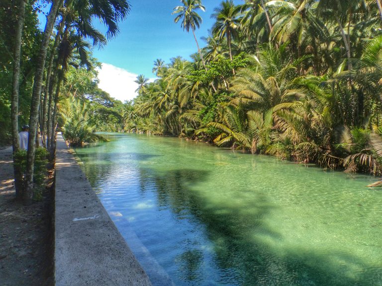 a bluish-green river surrounded by trees