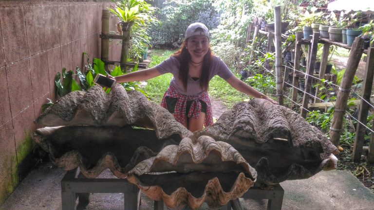 my picture with 3 humongous shells