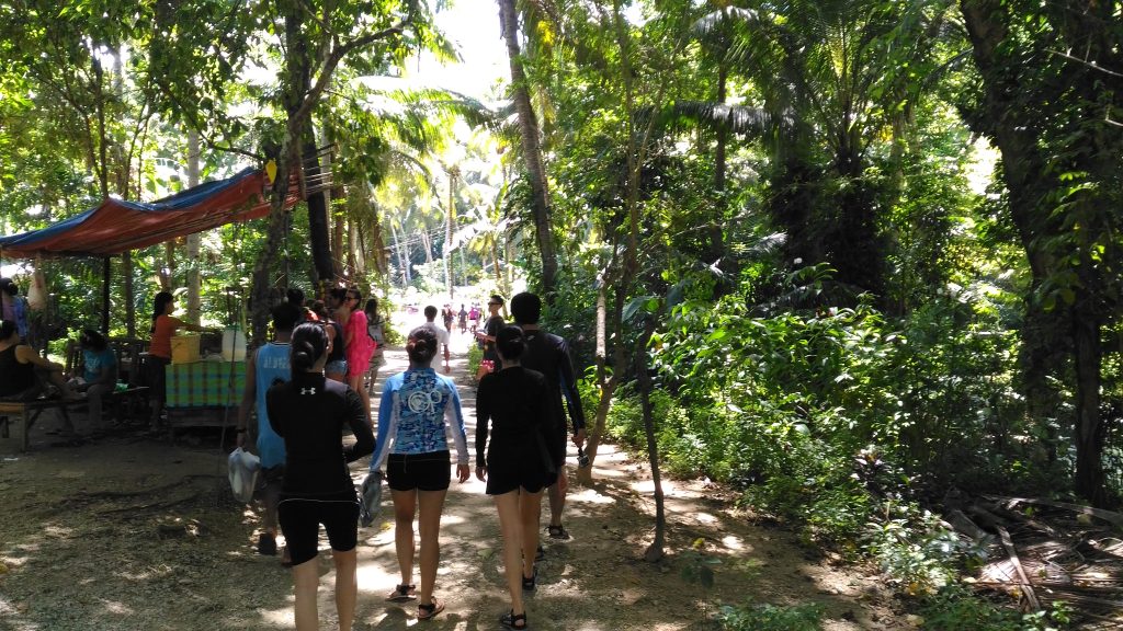 walking through a forest
