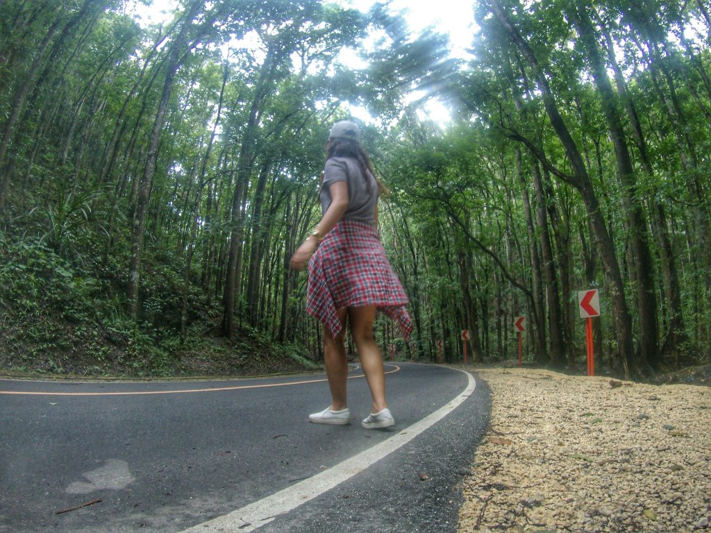 a stolen shot of me crossing the road of the man-made forest