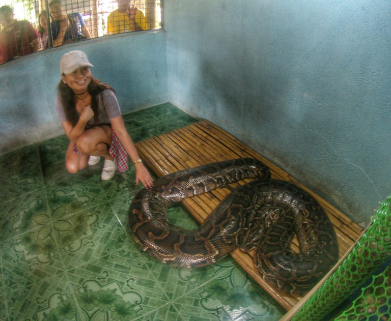 a photo of me beside the largest snake while inside its cage in the sanctuary