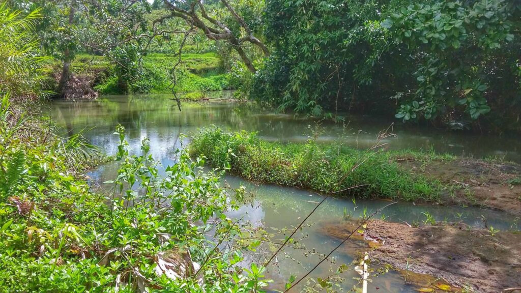 A picture of a river beside the trail going to Aliw Falls