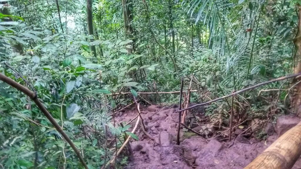 Madn-made trail with bamboo hand rails